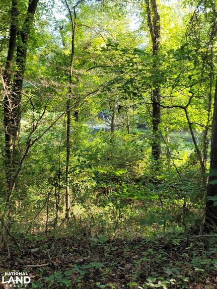 Waterfront Property in Van Buren County, Arkansas