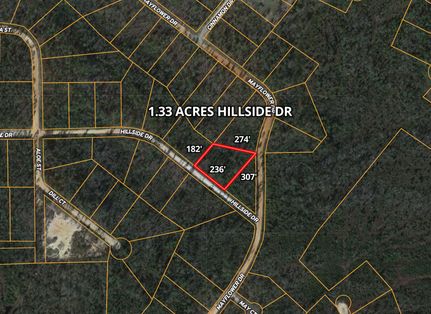 Undeveloped Land in Jackson County, Florida