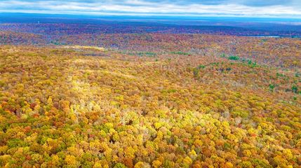 Undeveloped Land in Pike County, Pennsylvania
