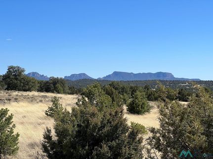 Recreational Property for sale in Catron County, New Mexico