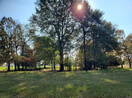 Undeveloped Land in Pushmataha County, Oklahoma
