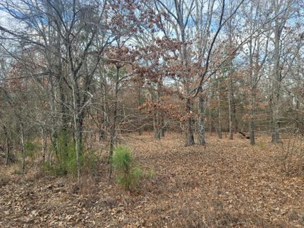 Hunting Property in Titus County, Texas