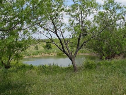 Timberland Property in Hill County, Texas