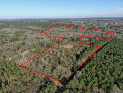 Undeveloped Land in Union Parish, Louisiana
