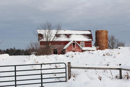 Undeveloped Land in Taylor County, Wisconsin