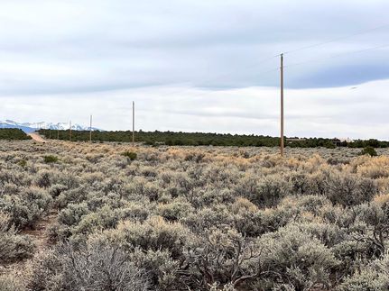 Undeveloped Land in Costilla County, Colorado
