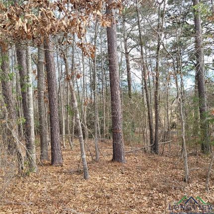 Recreational Property in Upshur County, Texas