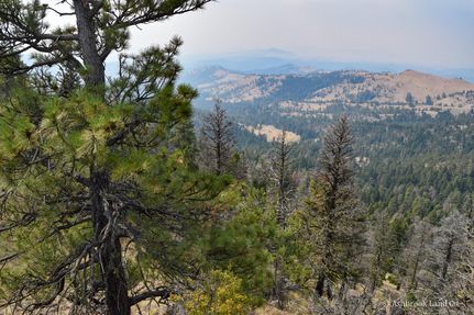 Timberland Property in Cascade County, Montana
