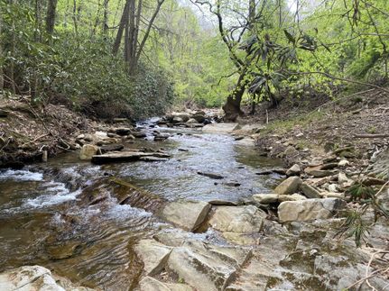 Timberland Property in Wilkes County, North Carolina