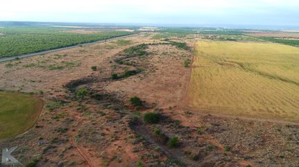 Undeveloped Land in Coke County, Texas