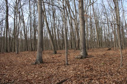 Recreational Property in Hampshire County, West Virginia