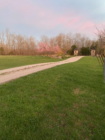 Farm and Ranch in Wright County, Missouri