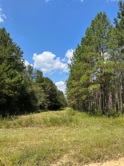Farm and Ranch in Jones County, Mississippi