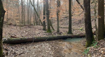 Commercial Property in Fayette County, Alabama