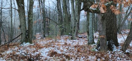 Farm and Ranch in Wexford County, Michigan