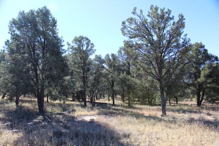Homesite for sale in Cibola County, New Mexico