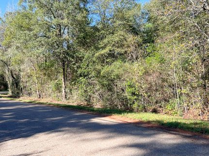 Undeveloped Land in Montgomery County, Texas