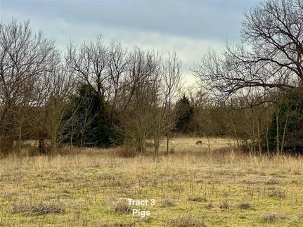 Undeveloped Land in Wise County, Texas