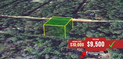 Timberland Property in Polk County, Texas