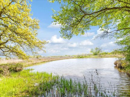 Hunting Property in Brazoria County, Texas