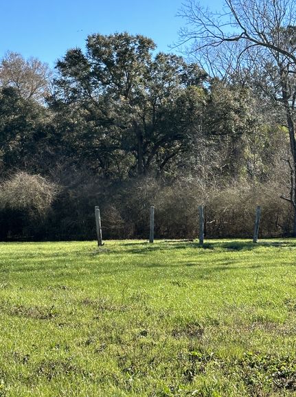 Farm and Ranch in Mobile County, Alabama