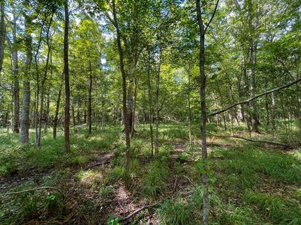 Undeveloped Land in Bullock County, Alabama