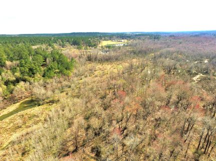 Undeveloped Land in Polk County, Texas