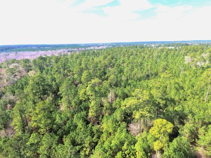 Farm and Ranch in Polk County, Texas