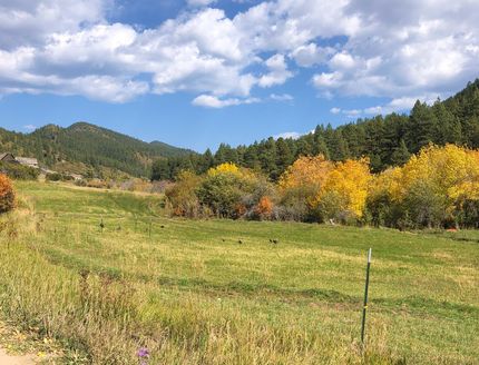 Farm and Ranch in La Plata County, Colorado