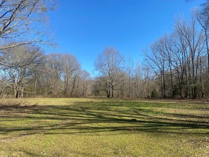 Timberland Property in Madison County, Mississippi