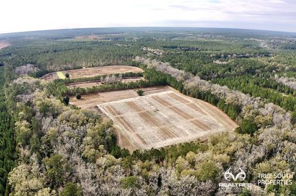 Hunting Property in Jasper County, South Carolina