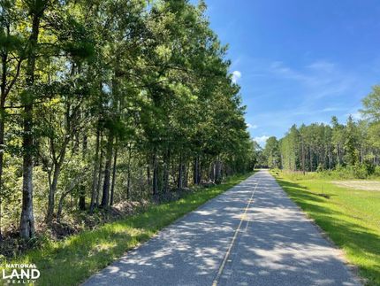 Undeveloped Land in Berkeley County, South Carolina