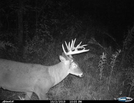 Farm and Ranch in Crawford County, Wisconsin