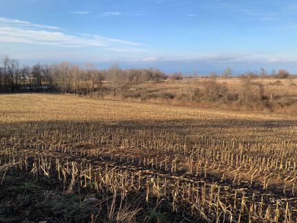 Farm and Ranch in Oneida County, New York