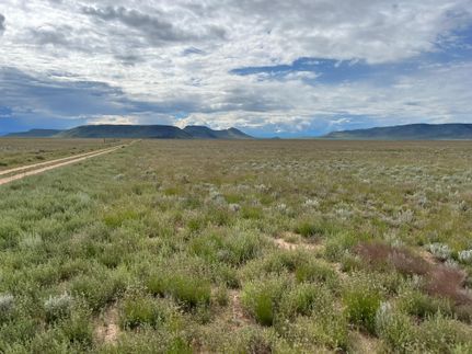 Timberland Property in Costilla County, Colorado