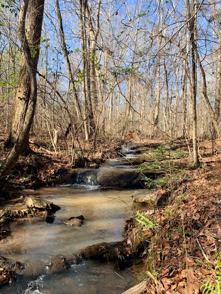 Farm and Ranch in Walton County, Georgia