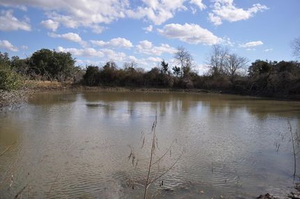 Timberland Property in Fayette County, Texas