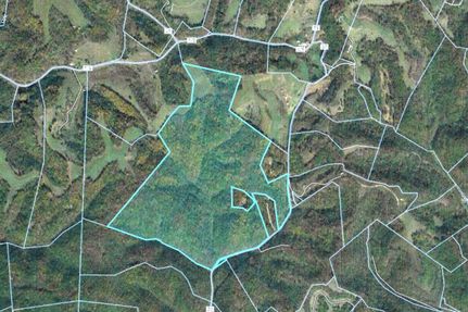 Timberland Property in Roane County, West Virginia