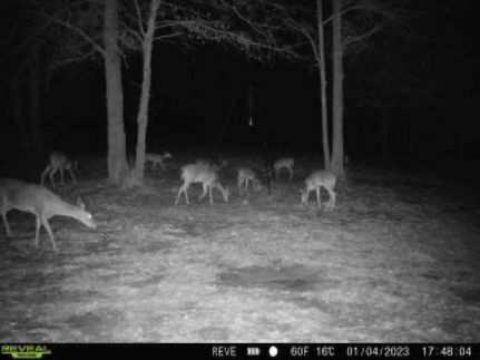 Land in Covington County, Alabama