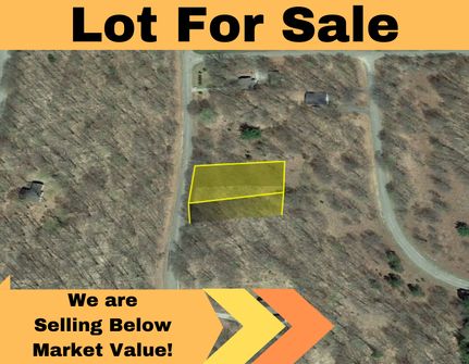 Undeveloped Land in Antrim County, Michigan