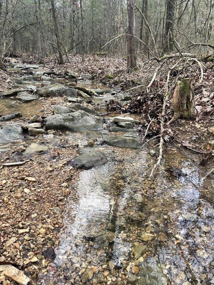 Undeveloped Land in Independence County, Arkansas