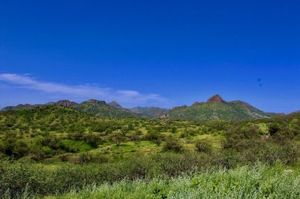 Farm and Ranch for sale in Santa Cruz County, Arizona