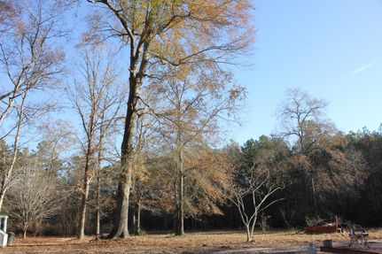 Recreational Property in Angelina County, Texas