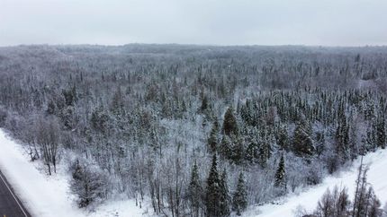 Timberland Property in Price County, Wisconsin