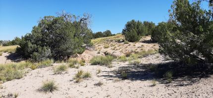 Farm and Ranch in Apache County, Arizona