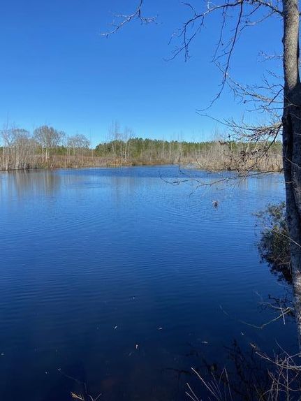 Timberland Property in Jasper County, Mississippi