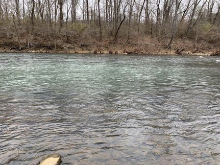 Undeveloped Land in Van Buren County, Arkansas