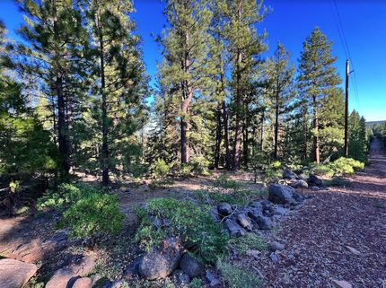 Undeveloped Land in Modoc County, California
