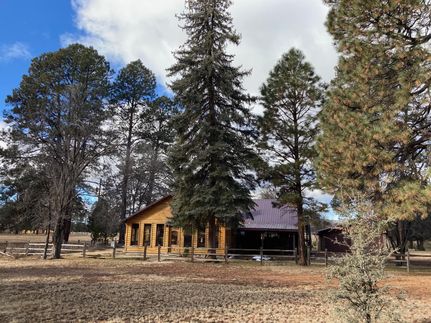 House in Catron County, New Mexico