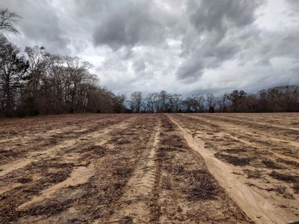 Land in Houston County, Alabama